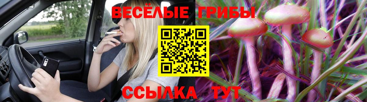 Псилоцибиновые грибы прущие грибы  Псилоцибиновые грибы прущие грибы  Елизово  Вход с VPN 